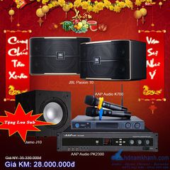 Bộ Karaoke Amply AAP PK2300+Loa JBL Pasion10