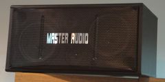 Loa Master Audio 802